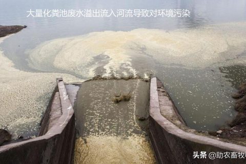 污水生物除臭用什么(西安污水厂生物除臭设备)