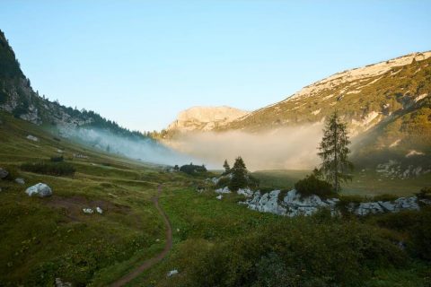 河北工业生物除臭箱多少钱(江苏工业生物除臭箱设备)