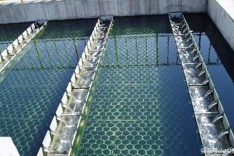 生物滤池法又可分为什么和什么
