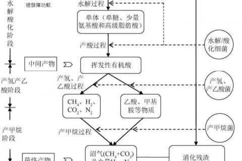 厌氧生物滤池菌种怎么看好坏