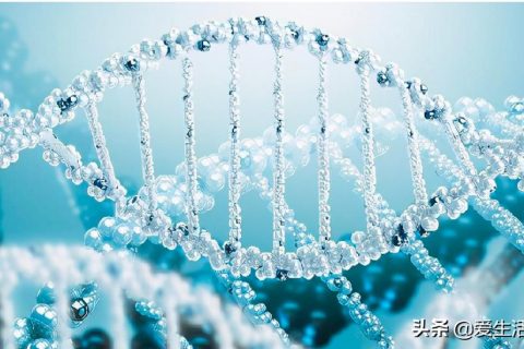 生物酶为什么能除臭(火麒麟生物酶除臭粉)