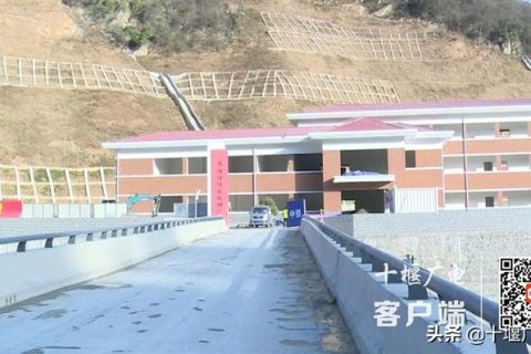 硝化生物滤池怎么处理(反硝化生物滤池的工作原理)