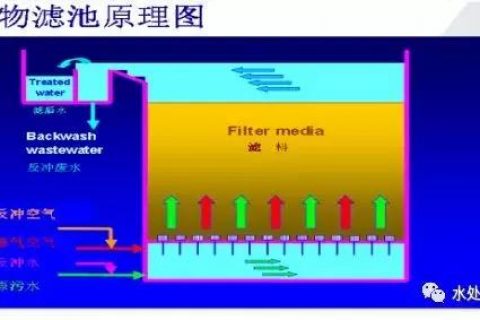 曝气生物滤池怎么脱氮除磷(曝气生物滤池总氮去除率)