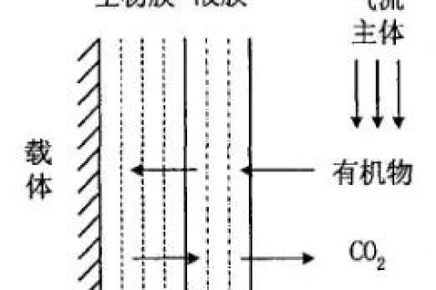 生物除臭滴滤塔添加什么微生物