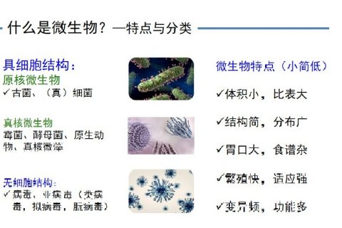 生物土壤除臭有什么优势(生物土壤除臭工艺)