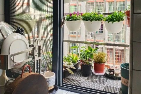 除臭微生物有什么菌种(除臭菌用的什么菌种)