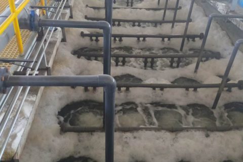 曝气池和生物滤池有什么区别(曝气池和生物滤池的区别)