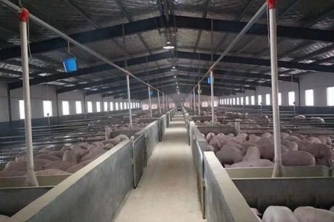 生物酶除臭时为什么要通风