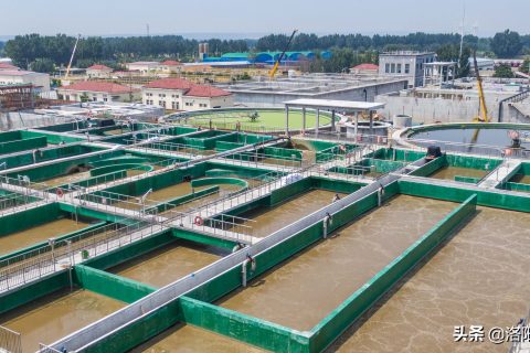 洛阳小型生物滤池废气处理多少钱
