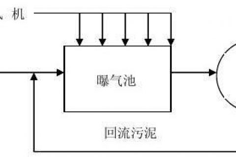 生物滤池为什么要通空气