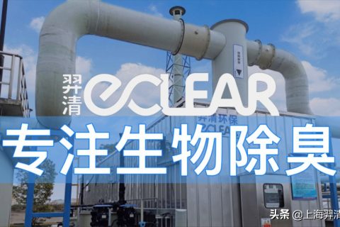 影响生物滤池运行的因素有哪些