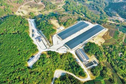 南京电子厂生物除臭箱多少钱(广西电子厂生物除臭设备工艺)