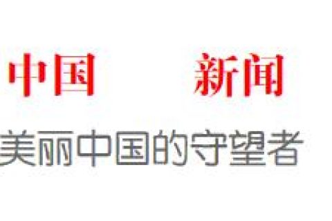 沥青搅拌站布袋除尘器(沥青搅拌站除尘器滤袋)