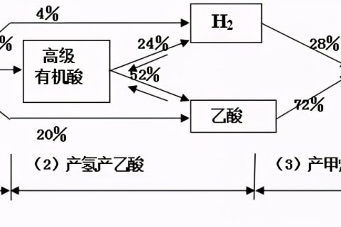 如何控制厌氧生物滤池中的碳氮比