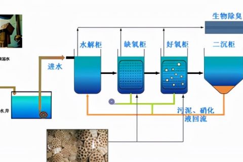 淹没式生物滤池去除水中什么