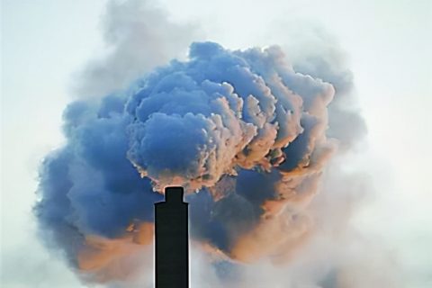 垃圾焚烧发电站生物除臭剂有哪些