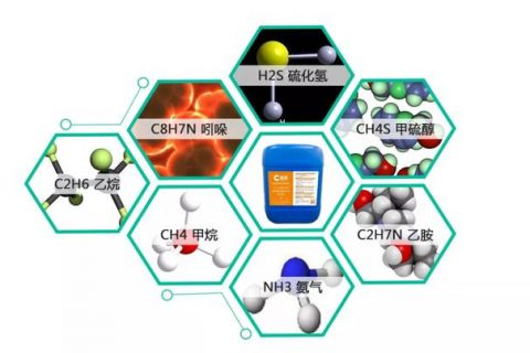 生物除臭剂主治什么(绿伞生物除臭剂)