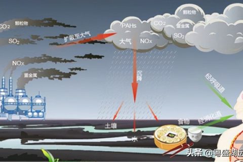 车间废气处理(无尘车间废气处理)