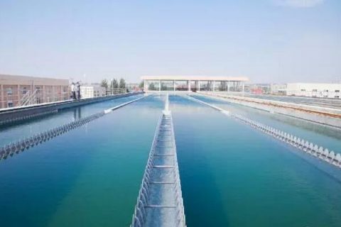 安阳大型生物滤池废气处理多少钱