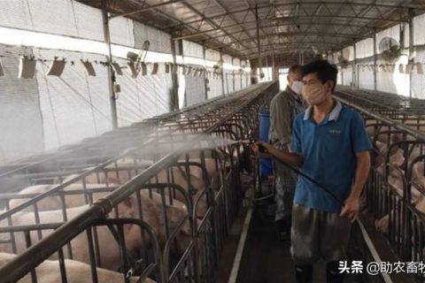 生物除臭剂有什么(绿伞生物除臭剂)