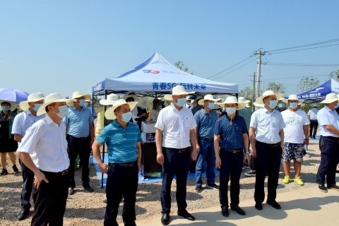 湖北机加工生物滤池多少钱