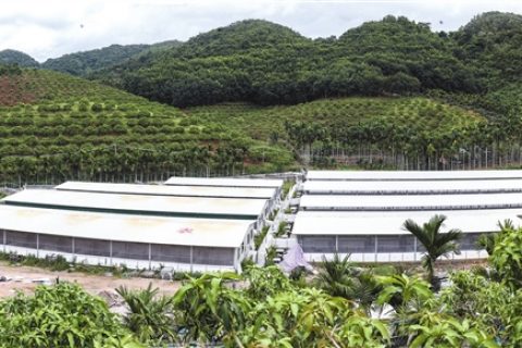 海南一体化生物除臭设备多少钱(福建一体化生物除臭设备图片)