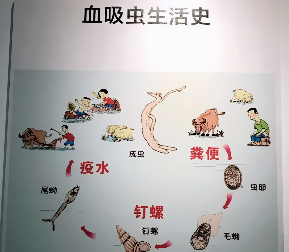 %title插图%num