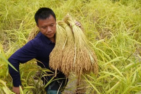 收割机除尘器(收割机吸尘器)