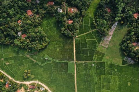 湖北金属表面生物滤池多少钱