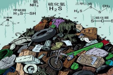 源于自然生物除臭剂有哪些