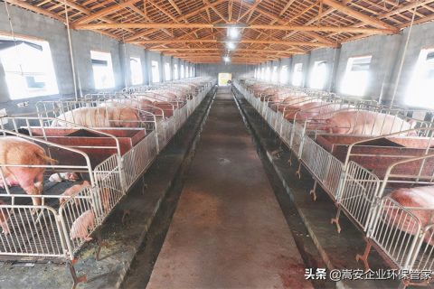 生物除臭剂在什么店可以买