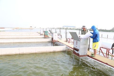 浙江化学化工生物滤池多少钱