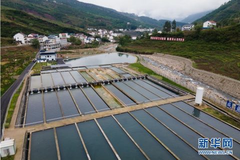 广西化学化工生物滤池多少钱