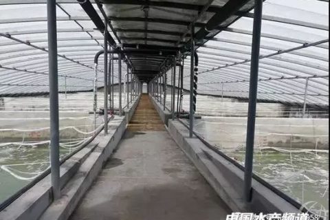 生物滤池溶解氧要控制多少(生物滤池溶解氧浓度)