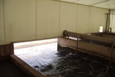 生物除臭滤池排出的污水怎么办