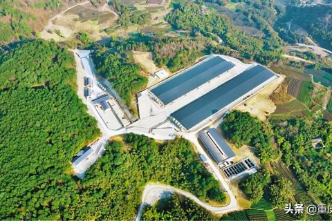 贵州化学化工生物除臭设备多少钱(山西化学化工生物除臭设备工艺)