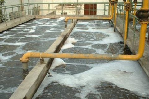 除臭微生物种类有哪些