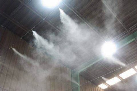 生物酶除臭有什么细菌
