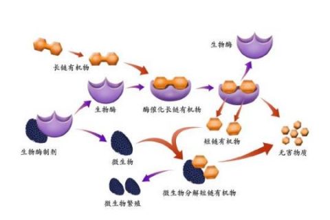 生物除臭的优势有哪些(生物除臭的填料有哪些)