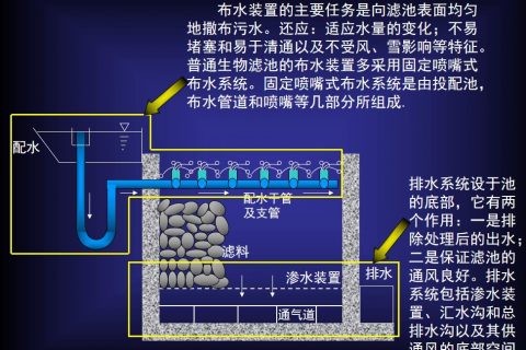 生物滤池种类有哪些(回流对生物滤池有哪些影响)