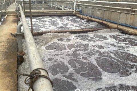 甘肃电镀生物滤池多少钱