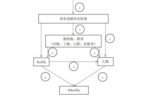 厌氧生物滤池比例系数是什么