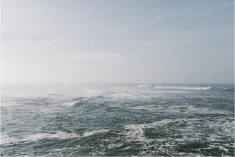 生物滤池雨水怎么处理