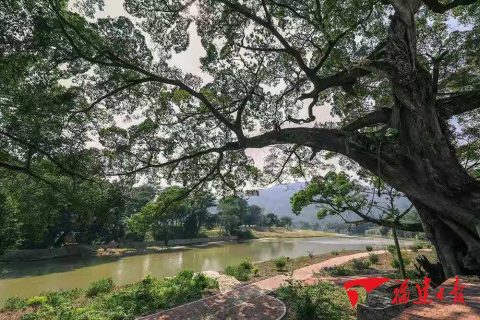 二级生物滤池法不适用什么