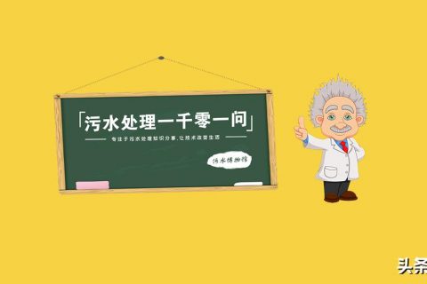 普通生物滤池用什么过水装置(生物滤池布水装置)