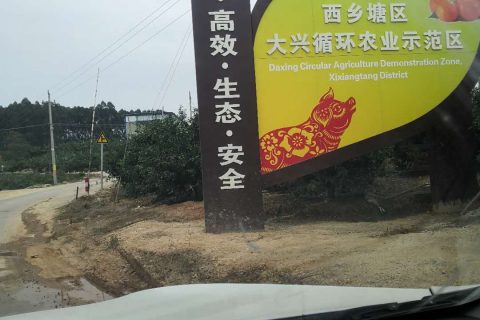 养猪用什么微生物菌除臭