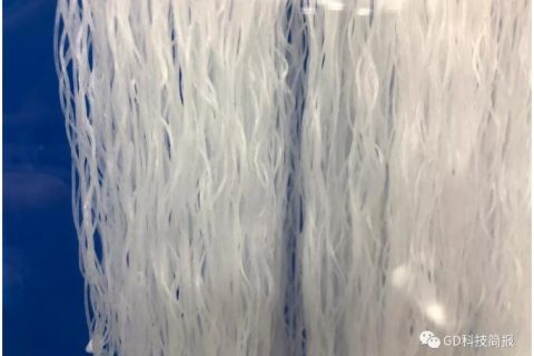曝气生物滤池风压一般是多少