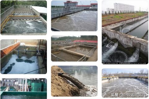 生物除臭用什么最好(鞋子除臭用什么方法最好)