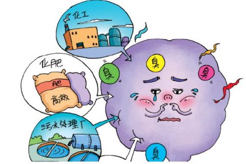 生物除臭填料都有哪些(生物除臭的填料有哪些)