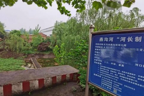 吉林机加工生物滤池多少钱